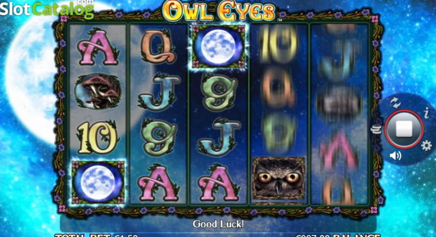 690% Welcome Bonus at LV Bet Casino