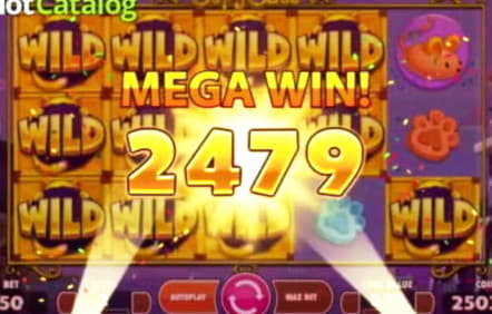 760% No Rules Bonus! at 888 Casino
