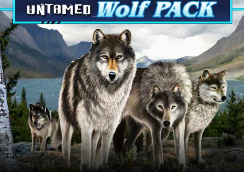 €111 Mobile freeroll slot tournament at Casino Max