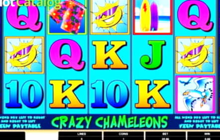 €420 Daily freeroll slot tournament at Euro Palace Casino