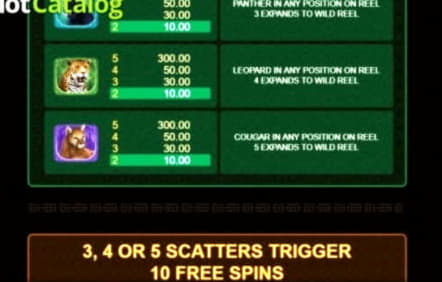 €240 Casino Tournament at All Slots Casino