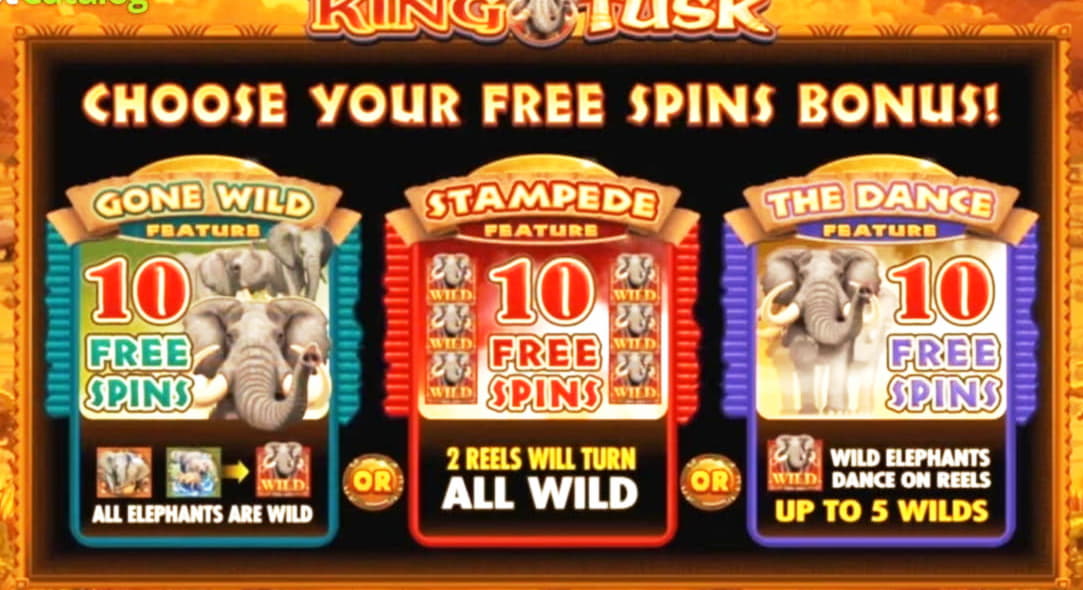 800% Deposit match bonus at Royal Dubai Casino