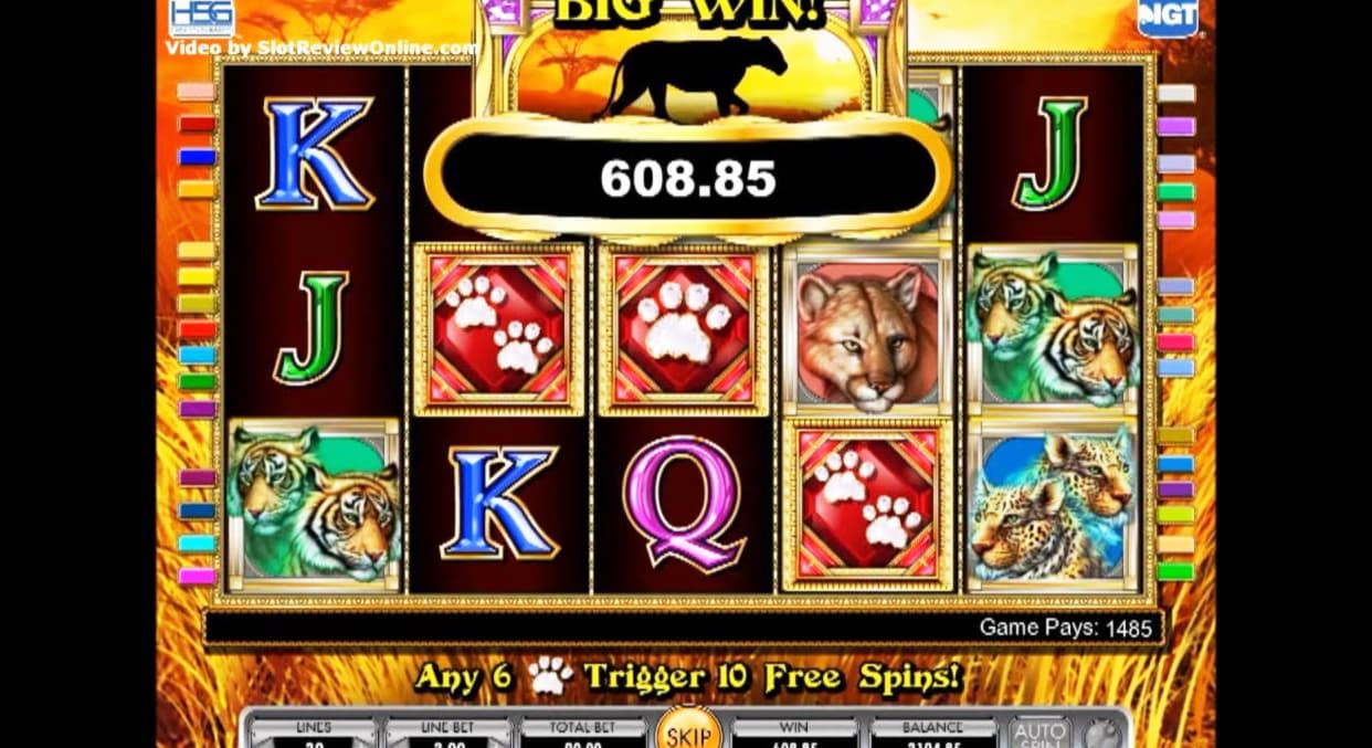 $3720 No deposit bonus at Royal Dubai Casino
