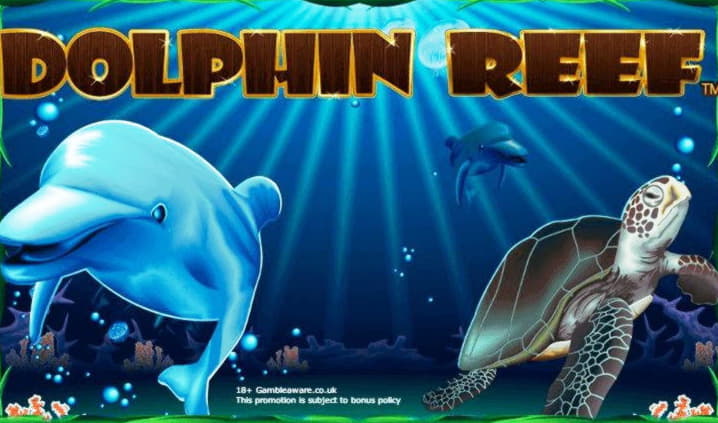 EUR 135 free casino chip at Platinum Play Casino