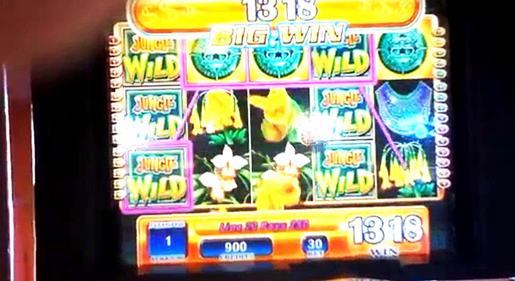 222 Free spins no deposit casino at Spinit Casino