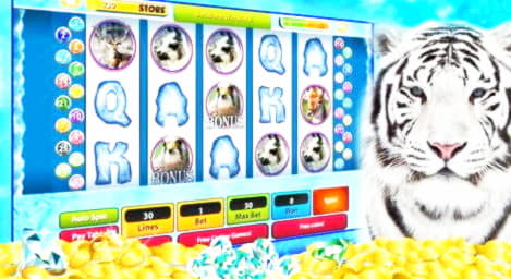 EUR 1350 no deposit casino bonus at Casino-X