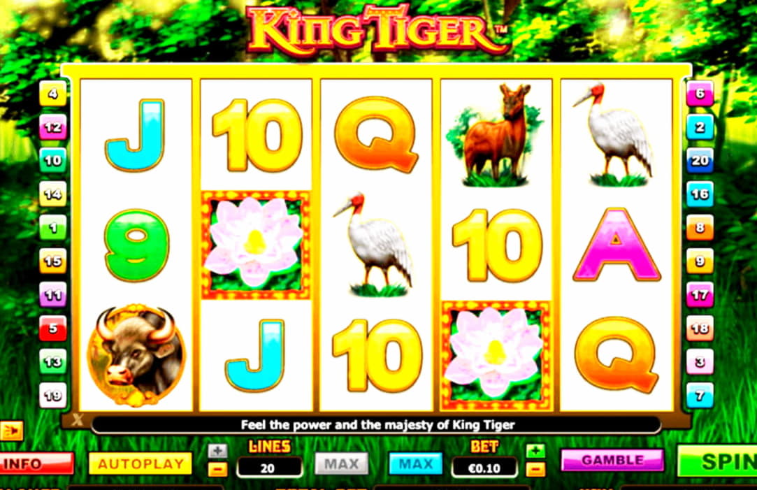 635% First deposit bonus at Gratorama Casino