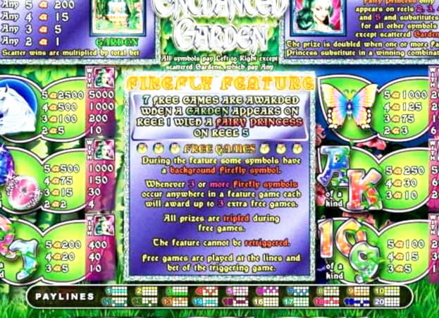$255 Casino chip at Big Cash Casino
