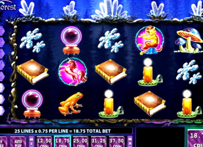 155% No Rules Bonus! at Casino Max