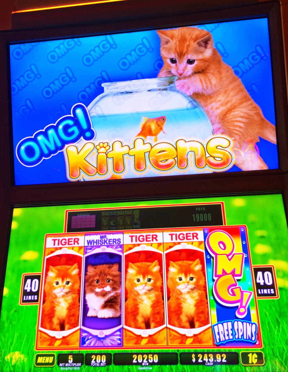 600% Match at a Casino at Vegas Hero Casino