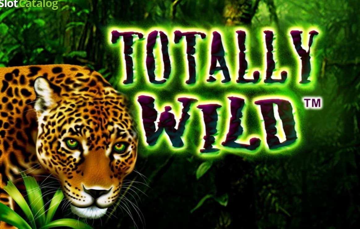 €520 Daily freeroll slot tournament at Lucky Nugget Casino