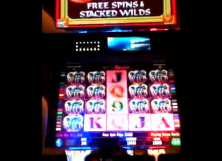 145 FREE SPINS at bWin Casino