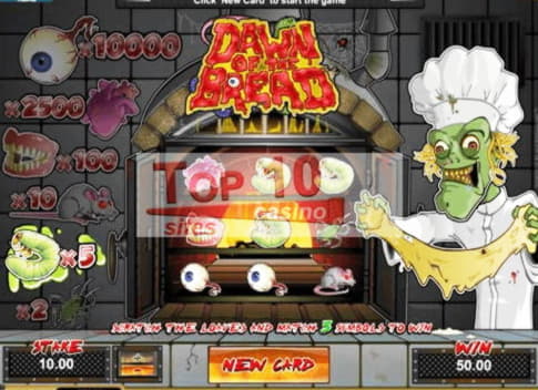 265 free spins at Casino Room