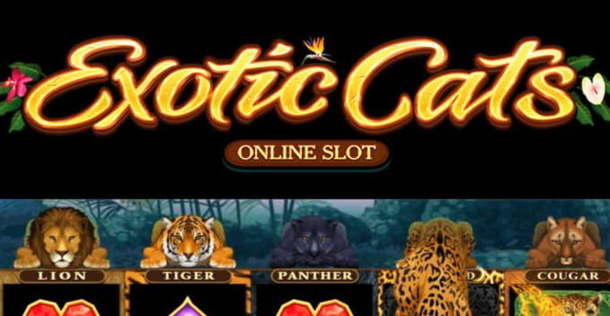 520% No Rules Bonus! at Vegas Hero Casino
