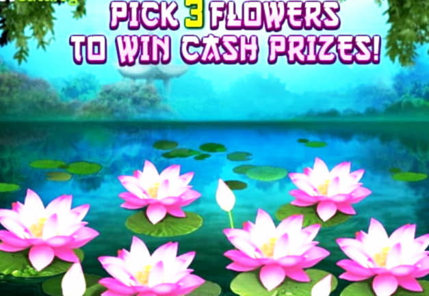 $2250 No Deposit Bonus at Casino Room