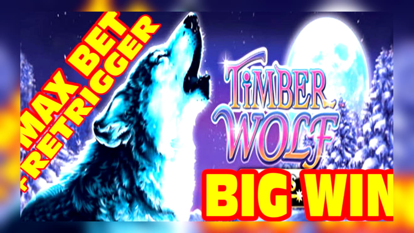 90 free spins no deposit casino at Gaming Club Casino