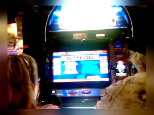 40 Free Spins right now at Mummys Gold Casino