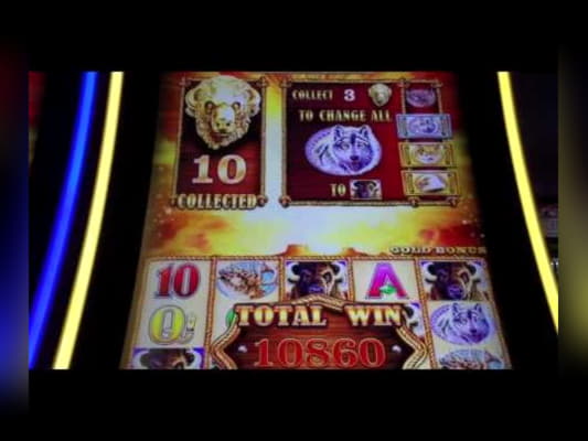 $685 Free Cash at Euro Palace Casino