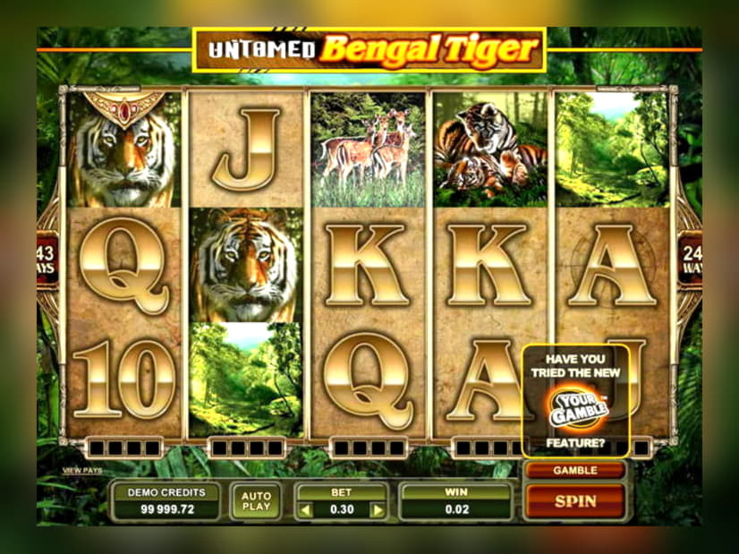 535% Best Signup Bonus Casino at Lucky Nugget Casino