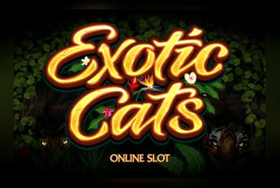 ﻿$880 NO DEPOSIT BONUS CASINO at LV Bet Casino