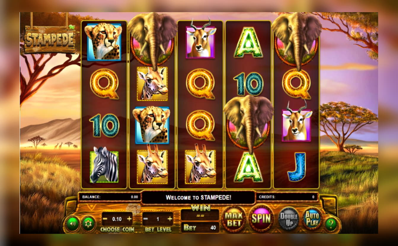 555% Match at a Casino at Casino Max