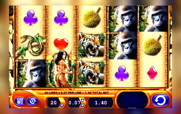 535% Match Bonus Casino at Big Cash Casino