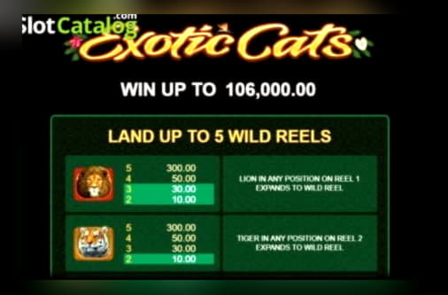 245 Free spins no deposit at Red Bet Casino