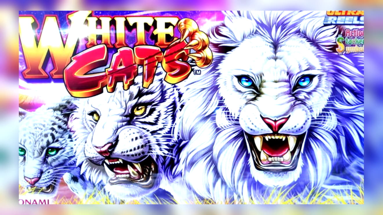 44 free spins casino at bWin Casino