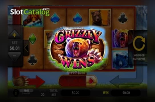 €80 Tournament at Big Cash Casino
