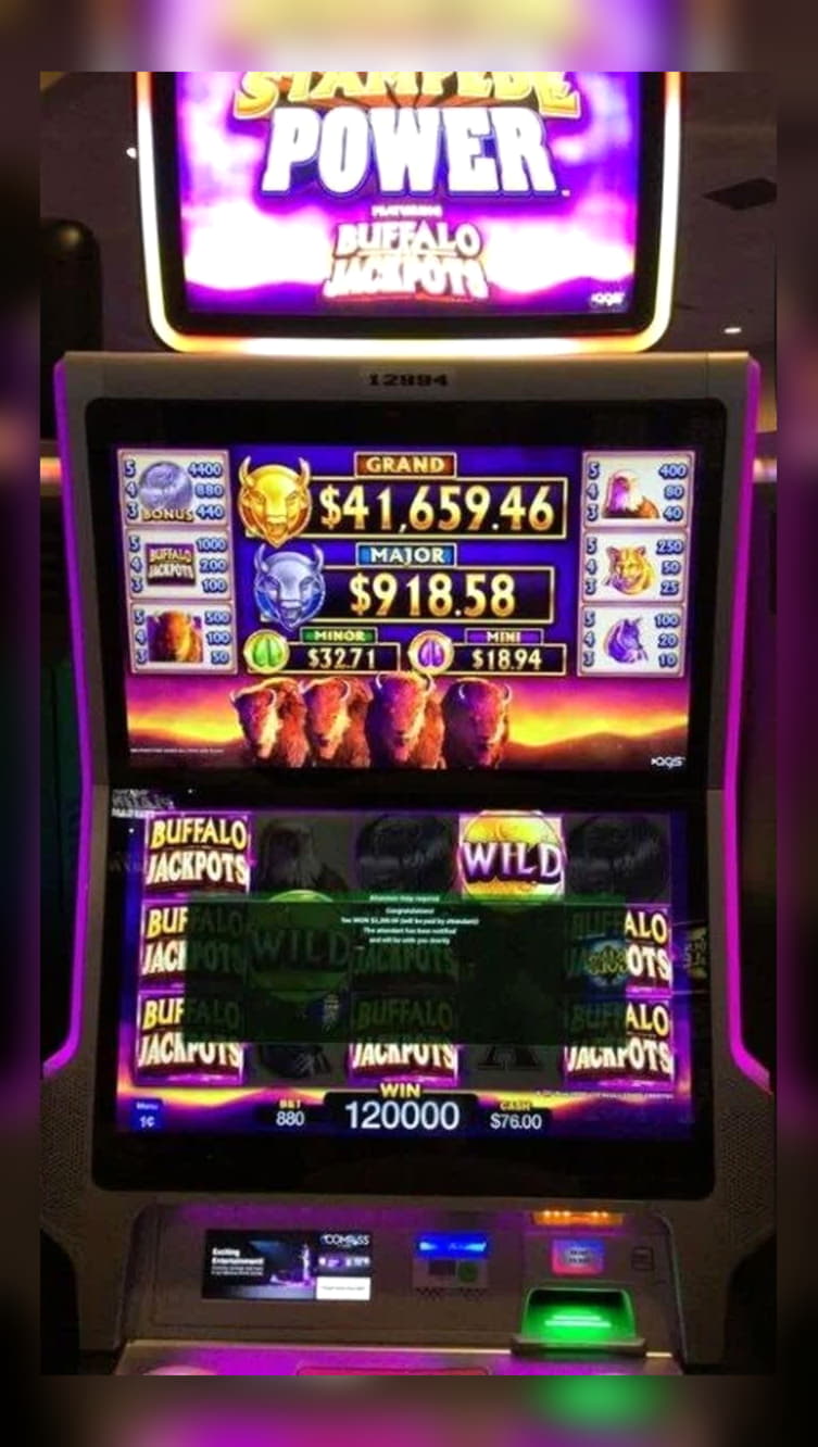 Eur 1420 NO DEPOSIT BONUS CODE at Mummys Gold Casino