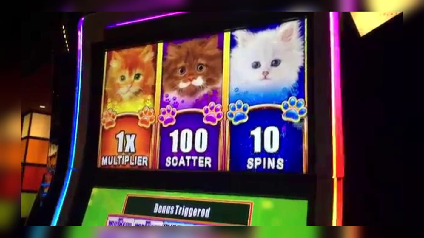 230% Welcome Bonus at Euro Palace Casino