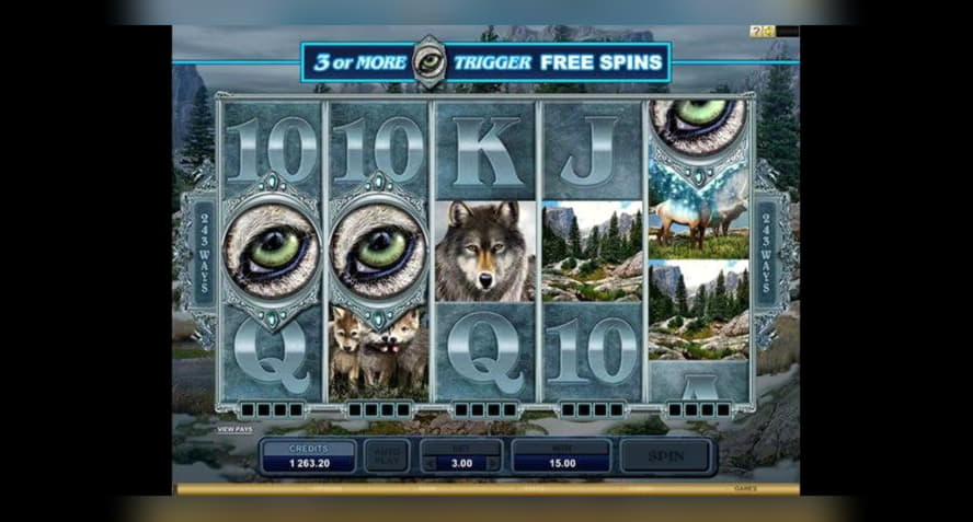 15 Loyal Free Spins! at Red Bet Casino
