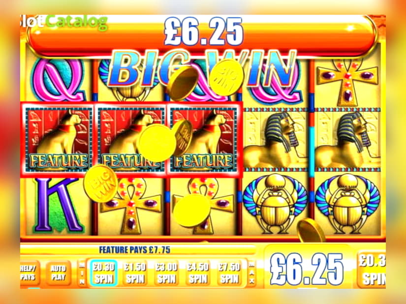 310% First Deposit Bonus at River Belle Casino