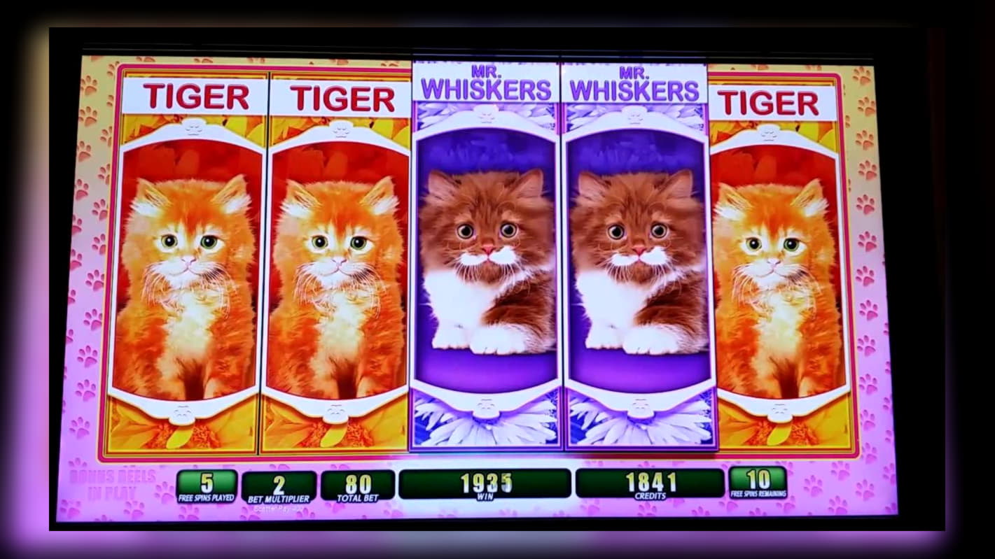 120 Trial Spins at Vegas Hero Casino