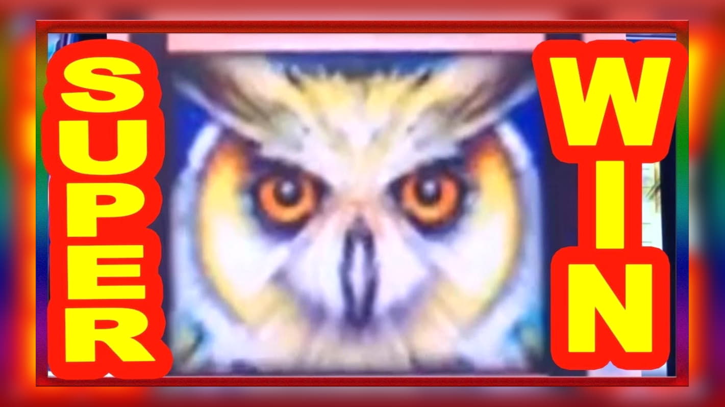 100 Free Spins Casino at Red Bet Casino