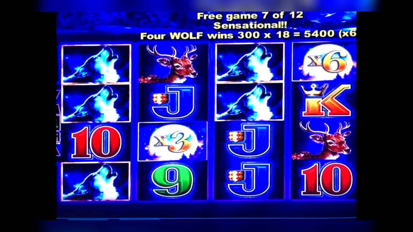 220 free spins at Platinum Play Casino