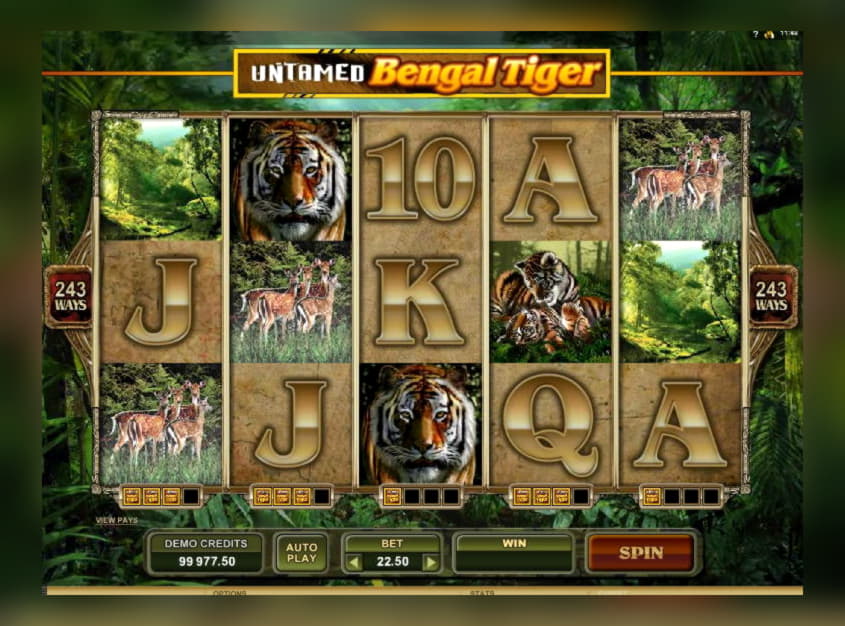 Eur 2370 No deposit at Ruby Fortune Casino