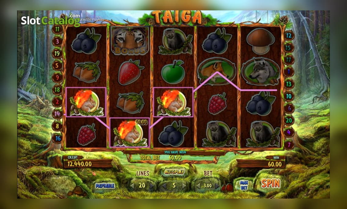 685% Welcome Bonus at Royal Dubai Casino