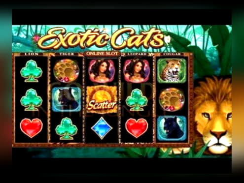 €770 Casino Tournament at Casino Room