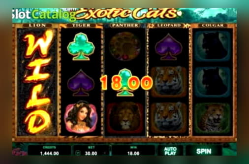 €390 Free Casino Tournament at Vegas Hero Casino