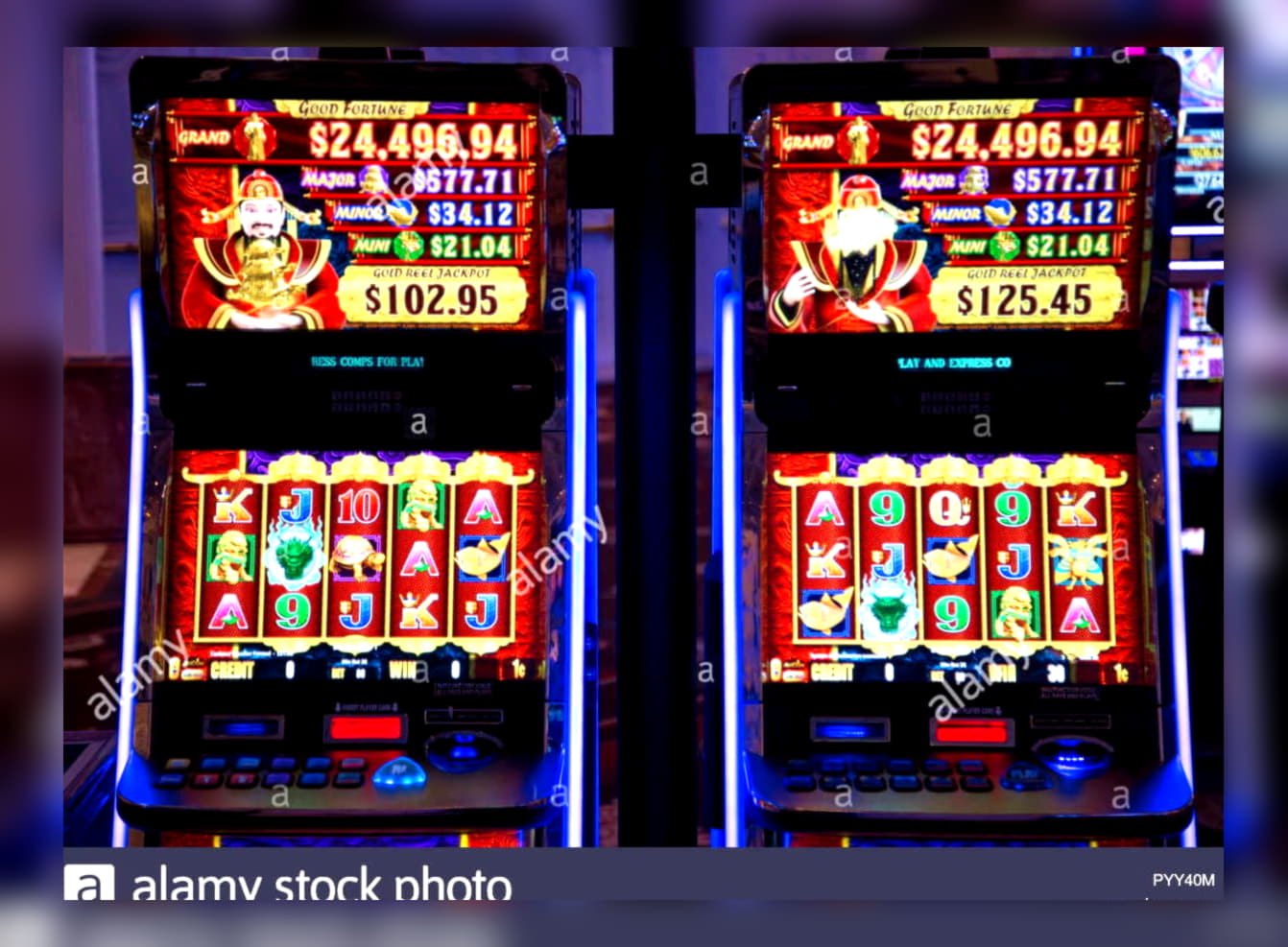 €550 Daily freeroll slot tournament at bWin Casino