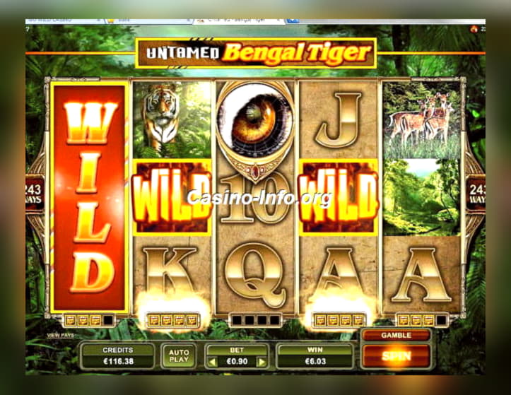 330% Match at a casino at Red Bet Casino