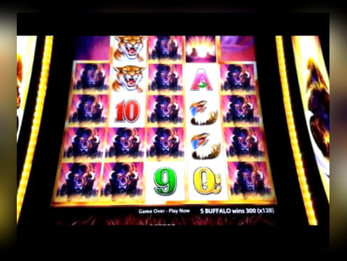 55 Free Casino Spins at Gratorama Casino