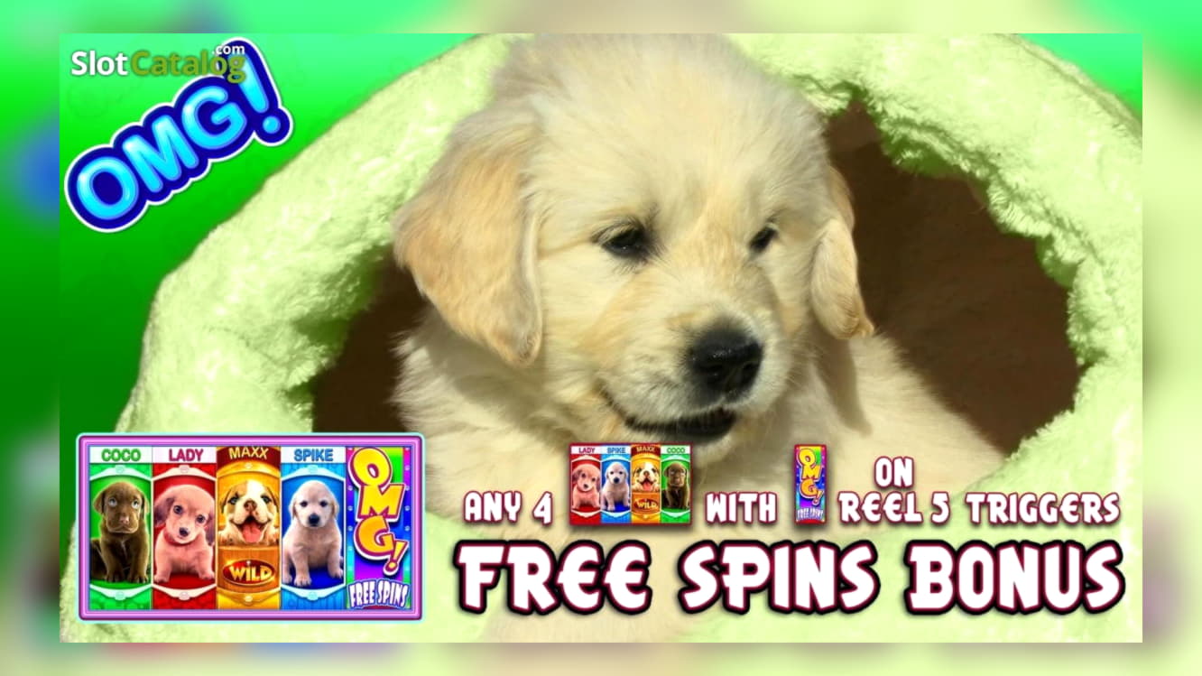 55 free spins casino at All Slots Casino