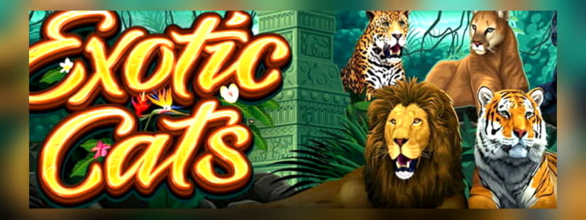 ﻿$1135 No deposit casino bonus at Red Bet Casino