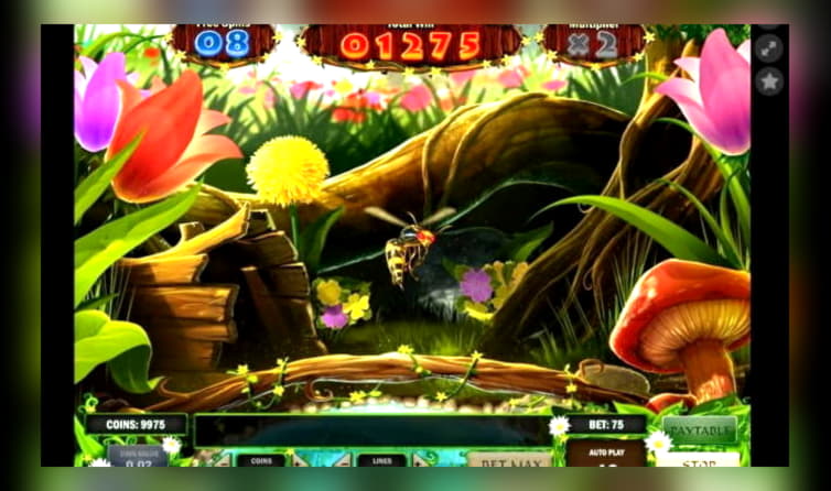 ﻿$185 Free casino chip at Big Cash Casino
