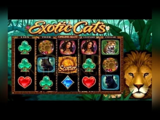 315% Match bonus at Lucky Nugget Casino