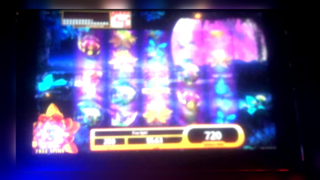 50 Free spins casino at Casino-X