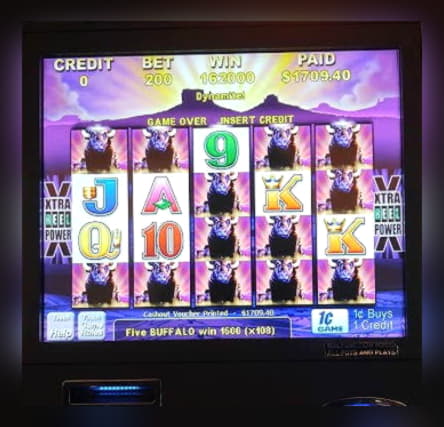 $2070 No Deposit Bonus at Mummys Gold Casino