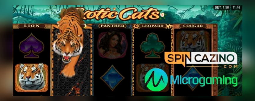 10 Free Spins no deposit at Spinit Casino